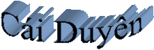 Ci Duyn